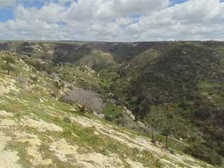 Gorge East of Avakas