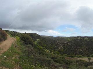 Kathikas Akamas View From Track